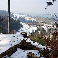  23. März 2013 - ein Blick in die Samstagswinterlandschaft        